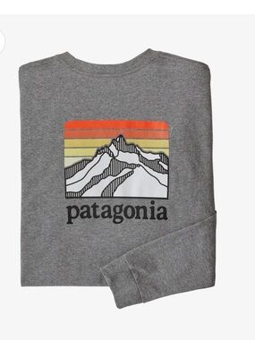 Patagonia Men's Long-Sleeved Line Logo Ridge Responsibili-Tee